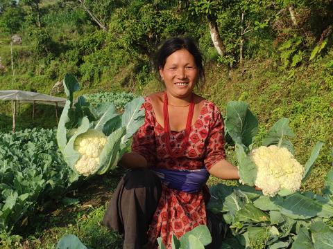 Chalimaya in her farm in Sindhuli